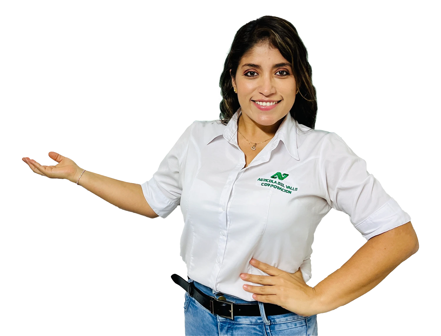 asesor comercial