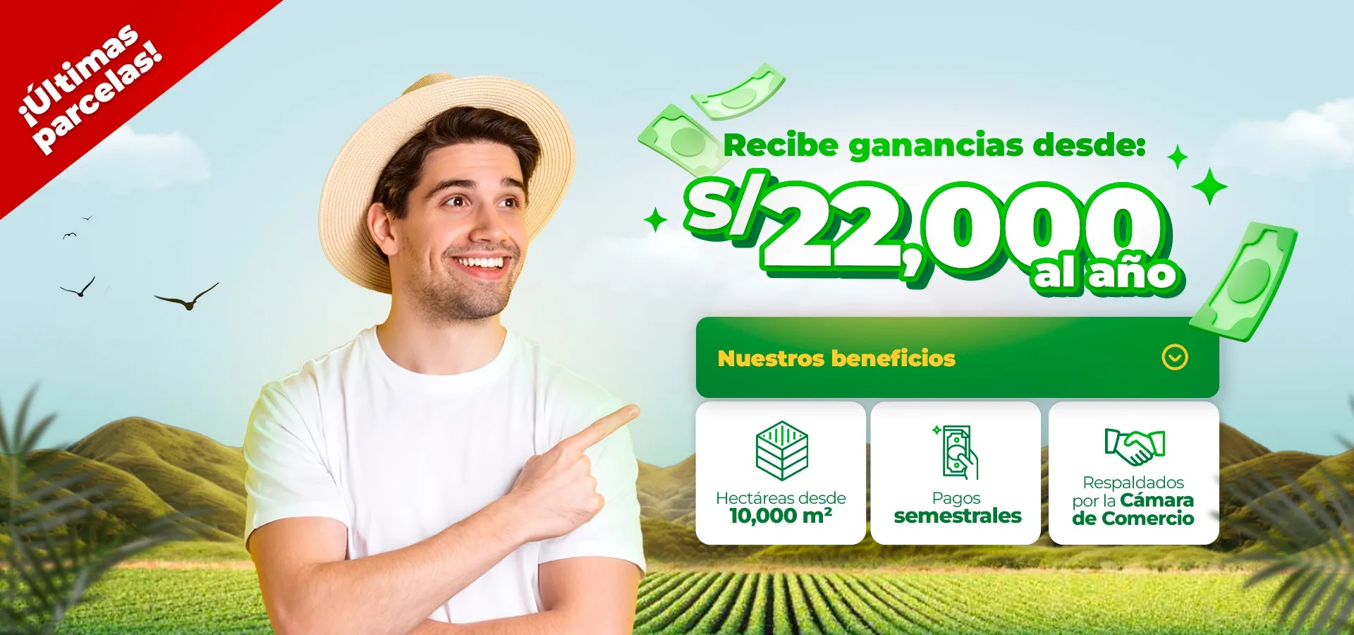Futuro rentable
