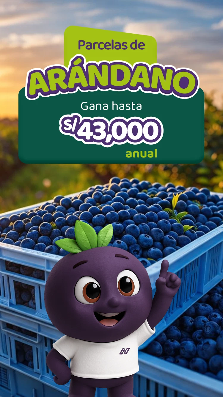 Asegura tu futuro financiero