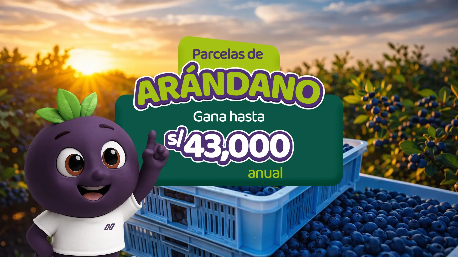 Asegura tu futuro financiero